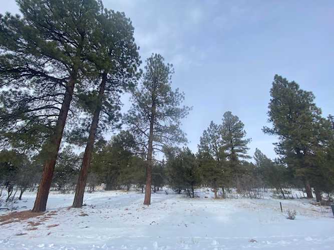 TBD South Badger Trl #420 Ridgway, COLORADO 81432