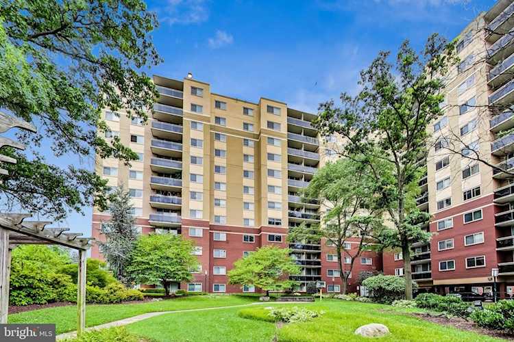 7333 New Hampshire Avenue #104 Takoma Park, MD 20912