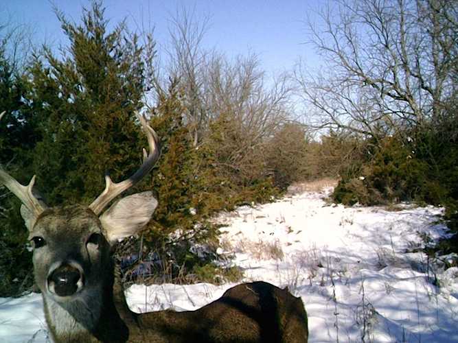 Homes for Sale in 00000 SW Ohio Street Road Douglass, KS