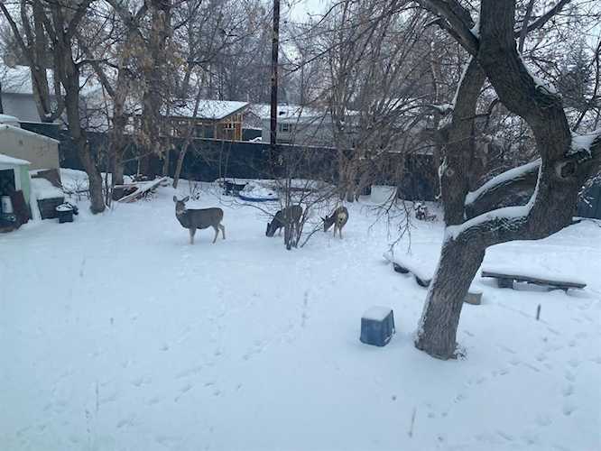 344 W 50A Ave Claresholm, AB T0L 0T0 MLS® A2100362