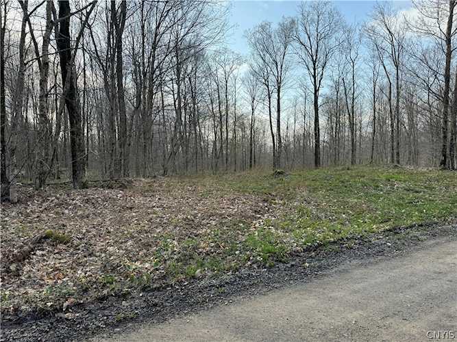 00 Goodhines Rd West Leyden, NY 13489 MLS S1515937