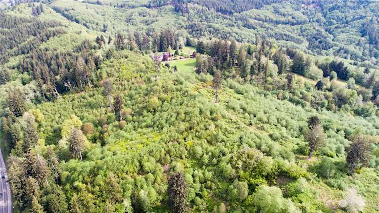 1111 Washington Cemetery Rd Raymond, WA 98577 | MLS® 2235593