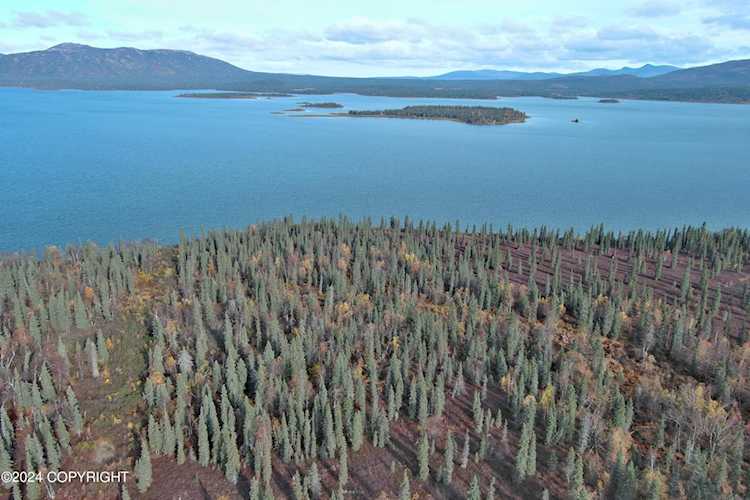 L3B4 Black Bear Rd Aleknagik, AK 99555 MLS 245616