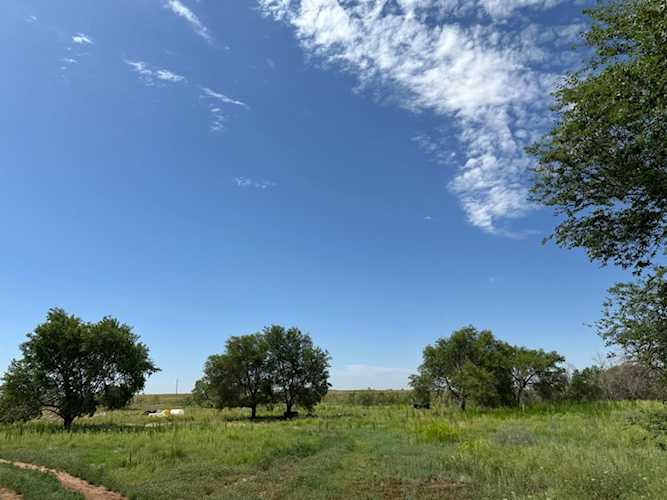 County Road 5400 New Deal, TX 79407 MLS 202409487