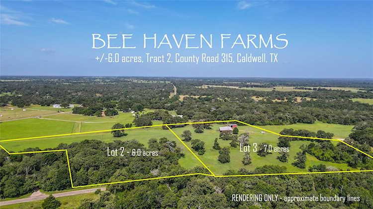 TBD County Road 315 - 6 Ac Caldwell, TX 77836 | MLS 49517024