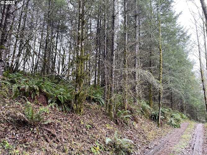 0 NE Buncombe Hollow RD Woodland, WA 98674 | MLS 24242914