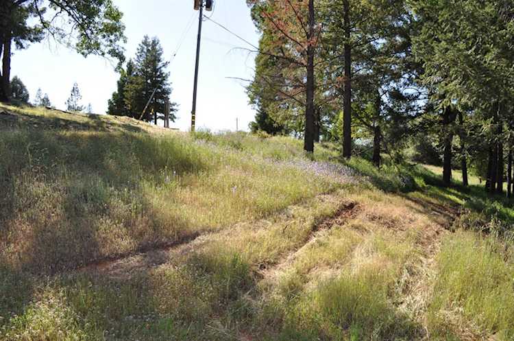 3190 Magic Morgan Trail, Cool, CA 95614