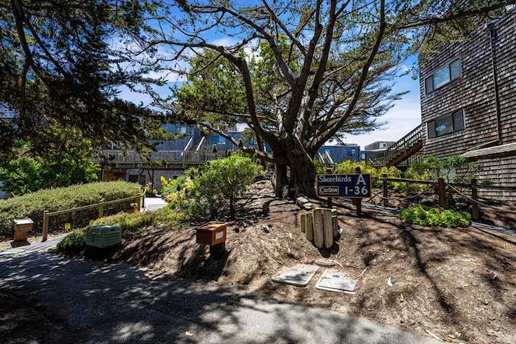 101 Shell Dr #3, Watsonville, CA 95076