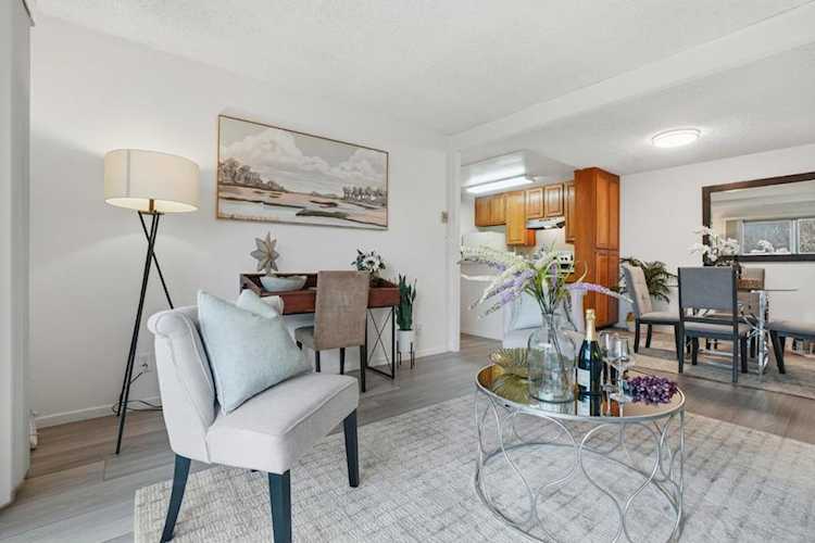 101 Piccadilly Place #D, San Bruno, CA 94066