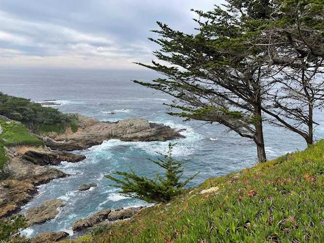 142 Carmel Riviera Dr, Carmel, CA 93923