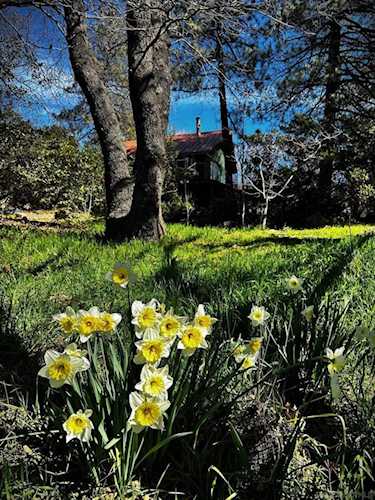 721 Pine Cone Drive, Julian, CA 92036