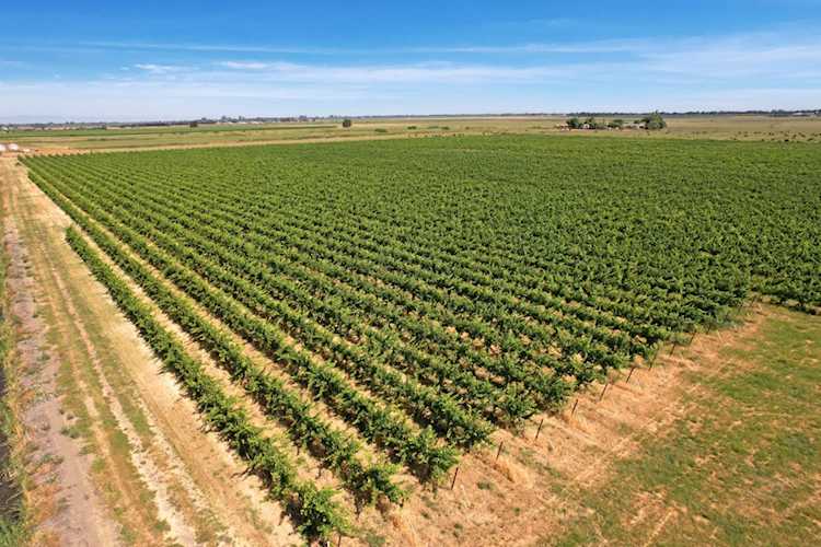 14226 State Highway 160, Walnut Grove, CA 95690