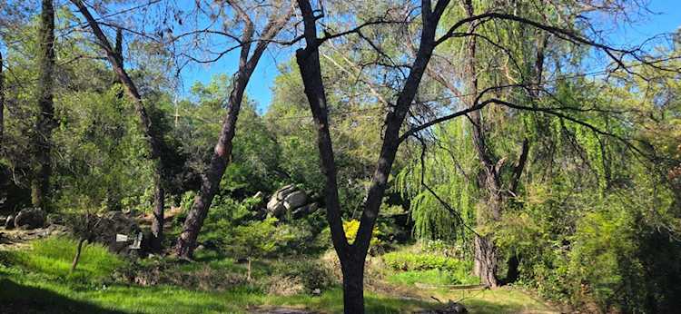 1661 Taylor Road, Penryn, CA 95663