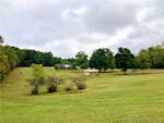 10323 S County Road 425 E Marengo IN 47140 | MLS 2024010921 Photo 45