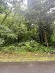 1 +/- Ac Cooks Mill Rd Georgetown IN 47122 | MLS 202409368 Photo 3