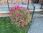 606 N Jay St Salem IN 47167 | MLS 202507572 Photo 20
