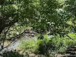 1 N Cavanaugh Ct Salem IN 47167 | MLS 202507626 Photo 39