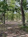 2991 N Borcherding Rd Madison IN 47250 | MLS 2024010565 Photo 4