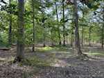 2991 N Borcherding Rd Madison IN 47250 | MLS 2024010565 Photo 2