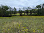 10868 W Pavey Ridge Rd Hardinsburg IN 47125 | MLS 202407359 Photo 48