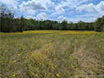 10868 W Pavey Ridge Rd Hardinsburg IN 47125 | MLS 202407359 Photo 47