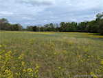10868 W Pavey Ridge Rd Hardinsburg IN 47125 | MLS 202407359 Photo 46