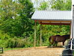 4581 N 350 W Madison IN 47250 | MLS 202507785 Photo 34