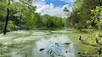 1100 Black Creek Rd Se Elizabeth IN 47117 | MLS 202507836 Photo 19