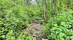 1100 Black Creek Rd Se Elizabeth IN 47117 | MLS 202507836 Photo 18
