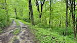 1100 Black Creek Rd Se Elizabeth IN 47117 | MLS 202507836 Photo 10