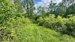 1100 Black Creek Rd Se Elizabeth IN 47117 | MLS 202507836 Photo 40