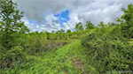 1100 Black Creek Rd Se Elizabeth IN 47117 | MLS 202507836 Photo 35
