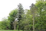 310 S Canton South Boston Rd Salem IN 47167 | MLS 202507854 Photo 12
