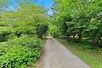 1011 Utica Charlestown Rd Jeffersonville IN 47130 | MLS 202507940 Photo 16