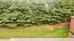 6463 Stillbrooke Place Georgetown IN 47122 | MLS 202507990 Photo 43