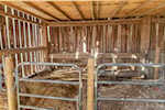 9408 N State Road 7 Dupont IN 47231 | MLS 202506357 Photo 75