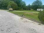 8369 S Old Palmyra Rd Pekin IN 47165 | MLS 202508080 Photo 3