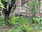 218 Locust St Jeffersonville IN 47130 | MLS 202508157 Photo 78