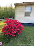 4414 Grant Line Rd New Albany IN 47150 | MLS 202508296 Photo 42