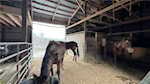 9320 Pekin Rd Greenville IN 47124 | MLS 2024012849 Photo 23