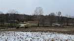 9320 Pekin Rd Greenville IN 47124 | MLS 2024012849 Photo 22