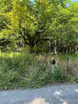 10692 N Haleysburg Rd Vallonia IN 47281 | MLS 202508392 Photo 7