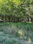 10692 N Haleysburg Rd Vallonia IN 47281 | MLS 202508392 Photo 5