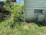 905 N Locust St Salem IN 47167 | MLS 202508390 Photo 18