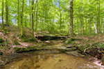 1115 E Beasley Rd English IN 47118 | MLS 202508269 Photo 20