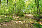 1115 E Beasley Rd English IN 47118 | MLS 202508269 Photo 2