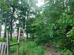 8813 W 750 N Commiskey IN 47227 | MLS 202508438 Photo 35