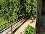 8813 W 750 N Commiskey IN 47227 | MLS 202508438 Photo 5
