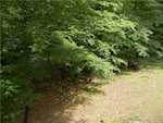 5675 Wild Willow Dr Paoli IN 47454 | MLS 202508395 Photo 16