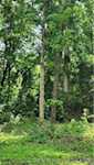 2001 W State Road 56 Salem IN 47167 | MLS 202508469 Photo 13